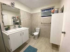 ein Badezimmer mit einem WC, einem Waschbecken und einem Spiegel in der Unterkunft Private 3BR Tropical Paradise near Oistins in Christchurch