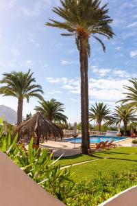 a resort with palm trees and a swimming pool at UNIO Ibiza - Adults Only in Cala Vadella