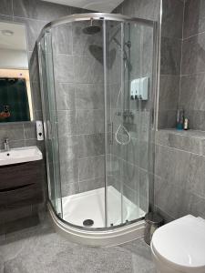 ein Badezimmer mit Dusche, Toilette und Waschbecken in der Unterkunft Aqua Dream Luxury Apartment-Coyles Place at Portland 88 in Belfast + 27 Fotos