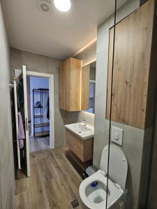 ヤホリナにあるSunset Pines Apt, Villa Montのトイレと洗面台付きのバスルーム