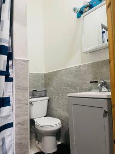 a bathroom with a white toilet and a sink at Cozy Luxury Studio Staycation - Brooklyn close to Train in Brooklyn