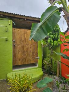 uma casa verde com uma porta de madeira e um monte de bananas em Glamping at Zephyra's Wisdom 