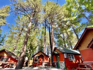 une cabane dans les bois avec des arbres en arrière-plan dans l'établissement The Village Cabins, à Big Bear Lake