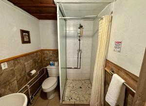 a bathroom with a shower with a toilet and a sink at The Village Cabins in Big Bear Lake