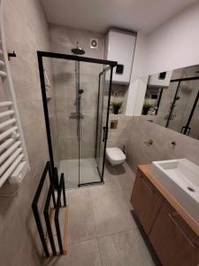 a bathroom with a shower and a toilet and a sink at Apartament Pod Brzyzkiem & Spa in Zakopane