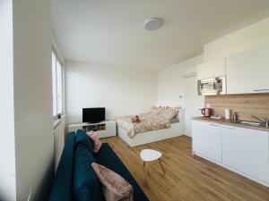 Kuchyň nebo kuchyňský kout v ubytování Apartmán Vyškov