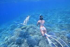 two women in swim suits and a dog swimming in the ocean at Shiraho Villa - Vacation STAY 20487v in Shiraho