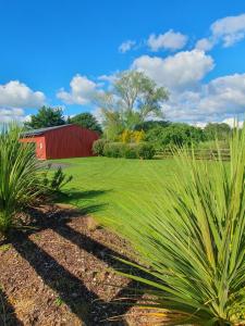 a field with a red barn and some plants at The Red Shed in Matamata