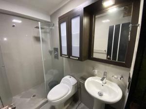 波拉馬的住宿－PÉTALO PREMIUM，一间带卫生间、水槽和镜子的浴室