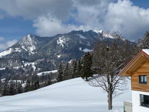 Příroda nedaleko apartmánu + 4 fotografie