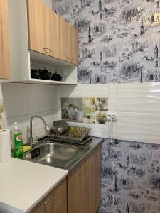 una cucina con lavandino e piano di lavoro di Iva Apartment a Rivne