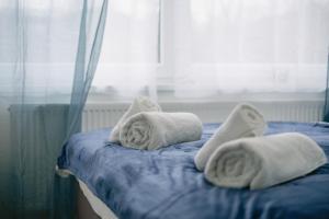a bed with towels on it with a window at 2-Zimmer Themen-Apartment im Zentrum, Nähe Oper in Bayreuth