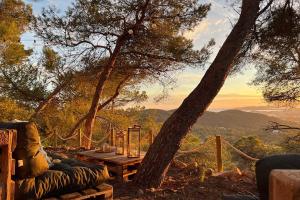 eine Holzbank neben einem Baum und einem Tisch in der Unterkunft Villa with Amazing views over the Hill in Can Furnet