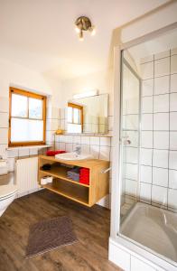 un bagno con lavandino e doccia di Haus Berg & Tal a Hirschegg Altre 37 foto