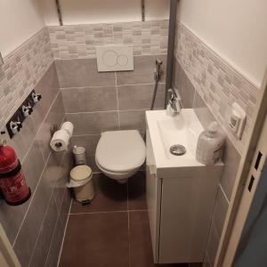 La petite salle de bains est pourvue de toilettes et d'un lavabo. dans l'établissement Lyon Confluence - Superbe pied à terre avec parking privé en option, à Lyon