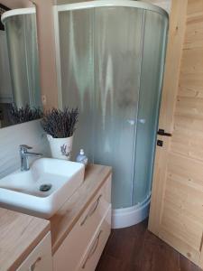 een badkamer met een wastafel en een douche bij Chata Dante in Liptovský Mikuláš