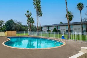 a swimming pool in a yard with a fence and palm trees at Quality Inn in Alice