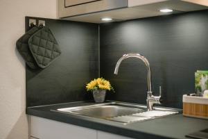 Η κουζίνα ή μικρή κουζίνα στο 2-Zimmer Themen-Apartment im Zentrum, Nähe Oper