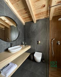 bagno con lavandino, servizi igienici e specchio di MOKHY Chalet & Nature a Vorokhta