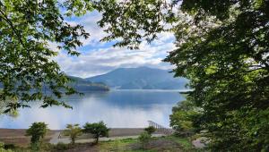 a view of a lake from between two trees at VILLA SHINANO in Shinano