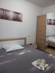 Postel nebo postele na pokoji v ubytování Apartman Gačić