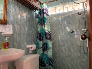 a bathroom with a shower with a toilet and a sink at Casa Verde Vacation Garden Home in San Cristóbal