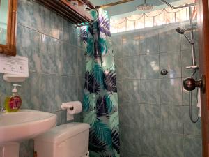 a bathroom with a shower with a toilet and a sink at Casa Verde Vacation Garden Home in San Cristobal