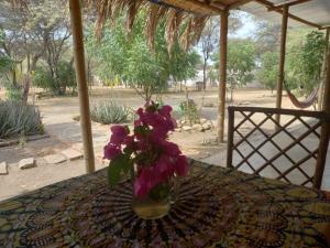 un jarrón lleno de flores púrpuras sentado en una mesa en Maison Nim en Máncora