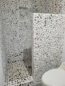 uma casa de banho com WC e uma parede de rochas em casa lumka hotel boutique spa em Mariquita