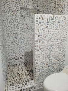 a bathroom with a toilet and a wall of rocks at casa lumka hotel boutique spa in Mariquita +39 photos