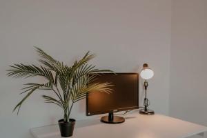 un monitor per computer seduto su una scrivania con una pianta di Apartment mit Küche, Arbeitsplatz und XXL Sofa a Neuss