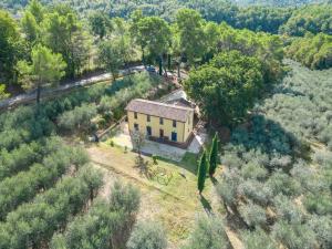 una vista aerea di una casa in una foresta di Agriturismo I Getsemani a Bevagna