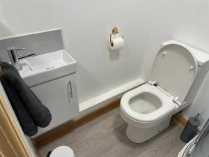 a bathroom with a white toilet and a sink at One bedroom Countryside Annexe in Boars Hill