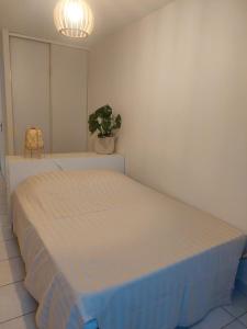 ヴィルールバンヌにあるApt Lyon Flachetのベッドルーム(ベッド1台、鉢植えの植物付)