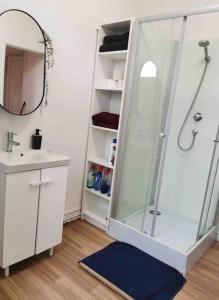 a bathroom with a shower and a sink and a mirror at L’Elégant in Douai