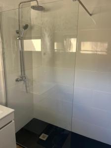 eine Dusche mit Glastür im Bad in der Unterkunft Casa Cactus Paraiso in Parque Holandes