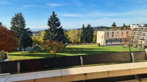 Blick auf einen Park mit Bäumen und Gebäuden in der Unterkunft Schöne Ferienwohnung im Bayerischen Wald in Sankt Englmar
