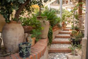 a garden with a bunch of plants in large pots at B&B Cumpari Turiddu in Siracusa