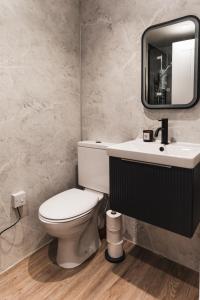 a bathroom with a toilet and a sink and a mirror at Wych Cottage, Striking 2 Bed, Parking, King Bed, First Floor Flat in Somerton +12 photos