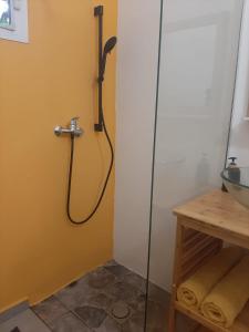 a shower stall in a bathroom with a sink at Zabriko delair in Sainte-Anne