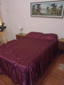 Un dormitorio con una cama morada con una foto en la pared en La cabaña en Mar de Ajó