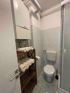 małą łazienkę z toaletą i umywalką w obiekcie Apartman III u centru Kutine w mieście Kutina