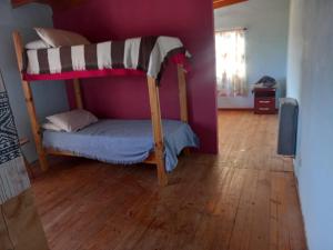 a bedroom with a bunk bed in a purple wall at Departamento Draiggoch in Trevelin