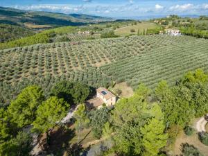 an aerial view of a vineyard with a house in the middle of a field at Agriturismo I Getsemani in Bevagna