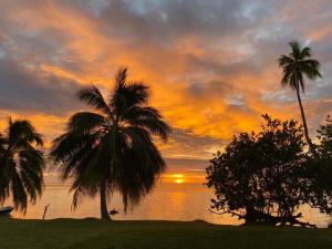 un coucher de soleil sur l'eau avec des palmiers au premier plan dans l'établissement SUNSETVIEW, studio, private beach, amazing swim & sunset, à Haapiti