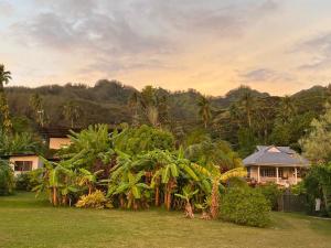 a house with a bunch of plants in a yard at SUNSETVIEW, studio, private beach, amazing swim & sunset in Haapiti