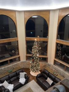 a christmas tree in the middle of a room with windows at Crestview Estate 5 acres-heated pool-5min to strip in Pigeon Forge