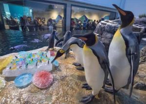 a group of penguins standing around a birthday cake at The Sealy House in Galveston