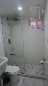 a bathroom with a toilet and a glass shower at The Green House w/ private ent in Brooklyn