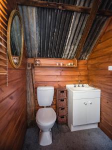 a bathroom with a toilet and a sink at Capers Cottage and Barn Accommodation in Wollombi